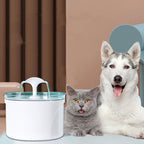 FONTANA ELETTRICA PER ANIMALI DOMESTICI