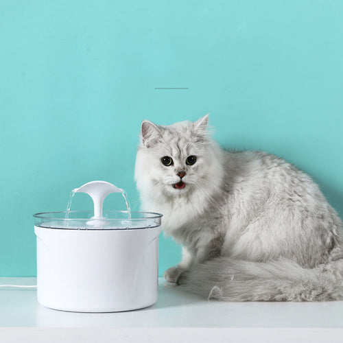 FONTANA ELETTRICA PER ANIMALI DOMESTICI